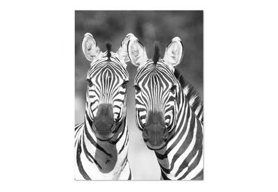 HINCS - Twin Zebra Canvas Wall Art 60x90cm