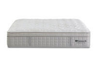 EXQUISITE GOLD FLEX ULTRA PLUSH