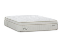 ORTHOKINETIC ASPEN PLUSH - Double Mattress ORTHOKINETIC ASPEN PLUSH
