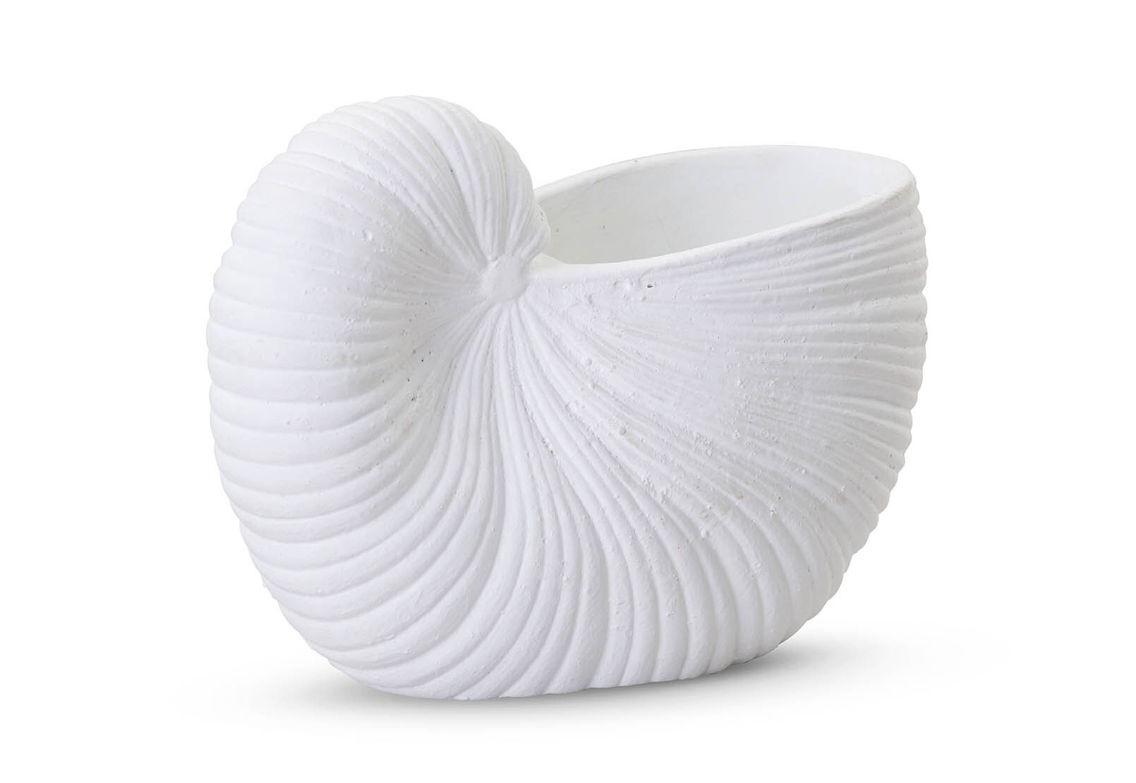 SEASHELL - 19x26cm Planter SEASHELL