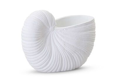 SEASHELL - 19x26cm Planter