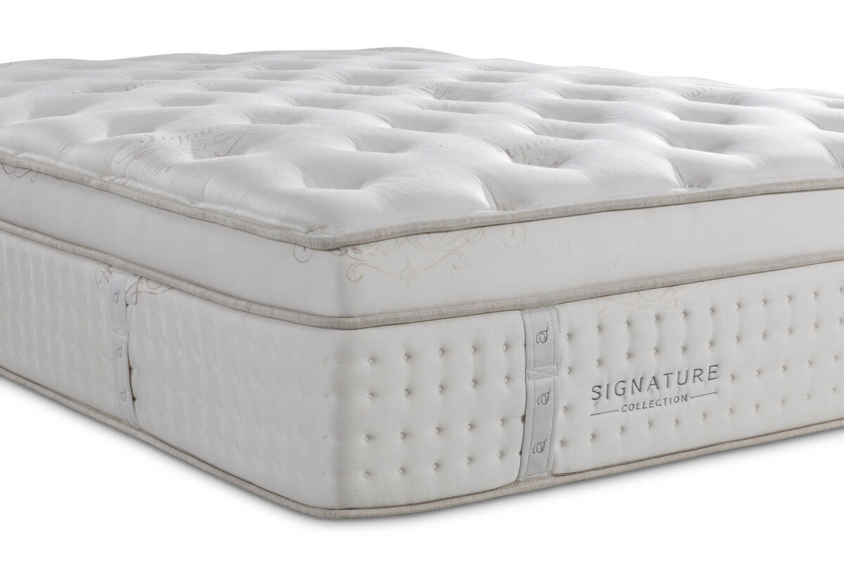 ORTHOKINETIC SIGNATURE GIORDANO