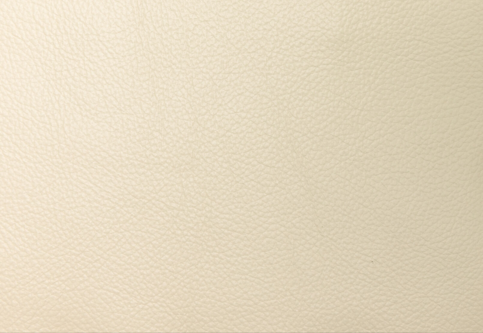 ALCINA LEATHER