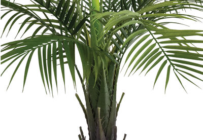PRESLEY - 120cm Tree