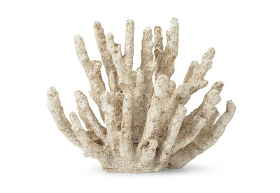 ERCOLE - 18CM Decorative Coral