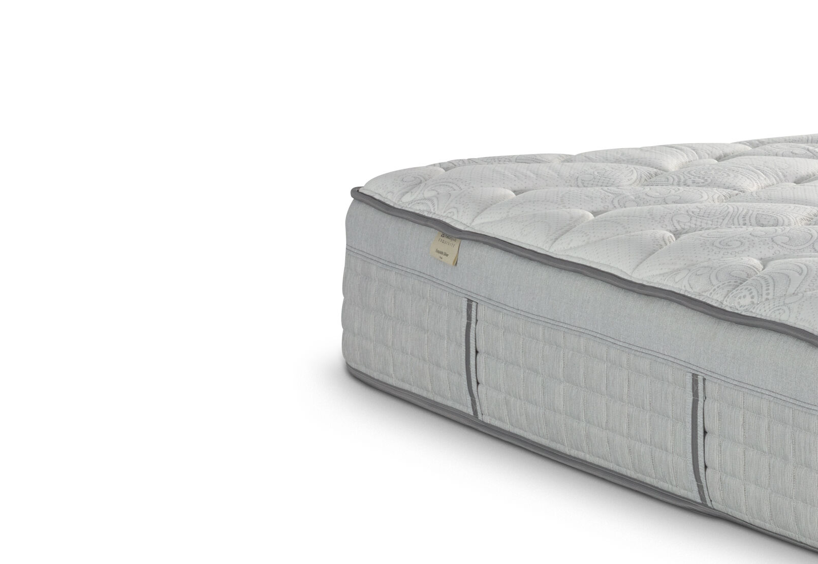EXQUISITE SILVER FLEX PLUSH