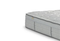 EXQUISITE SILVER FLEX PLUSH