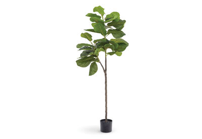 FINLEY - 150cm Tree