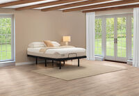 ORTHOKINETIC HYBRID FUSION FIRM