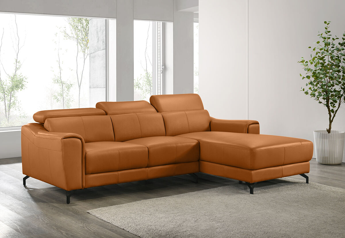 PELOSI LEATHER