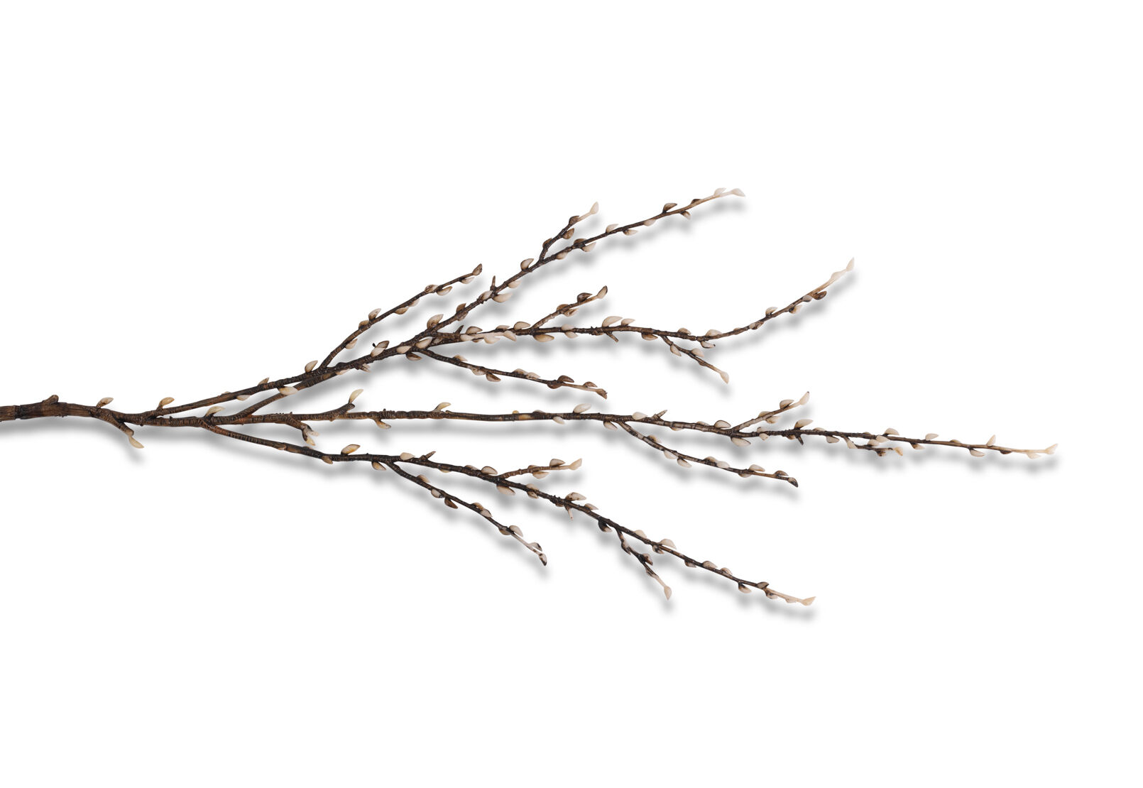 ARTIFICIAL SNOWFALL - Bud Branch ARTIFICIAL SNOWFALL