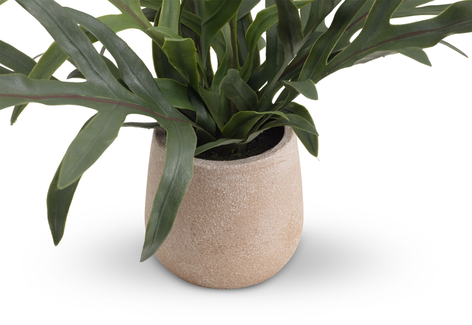 ARTIFICIAL BLUE STAR - Fern Pot ARTIFICIAL BLUE STAR