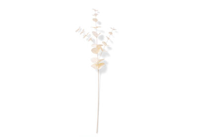 EUCY - 67cm Stem