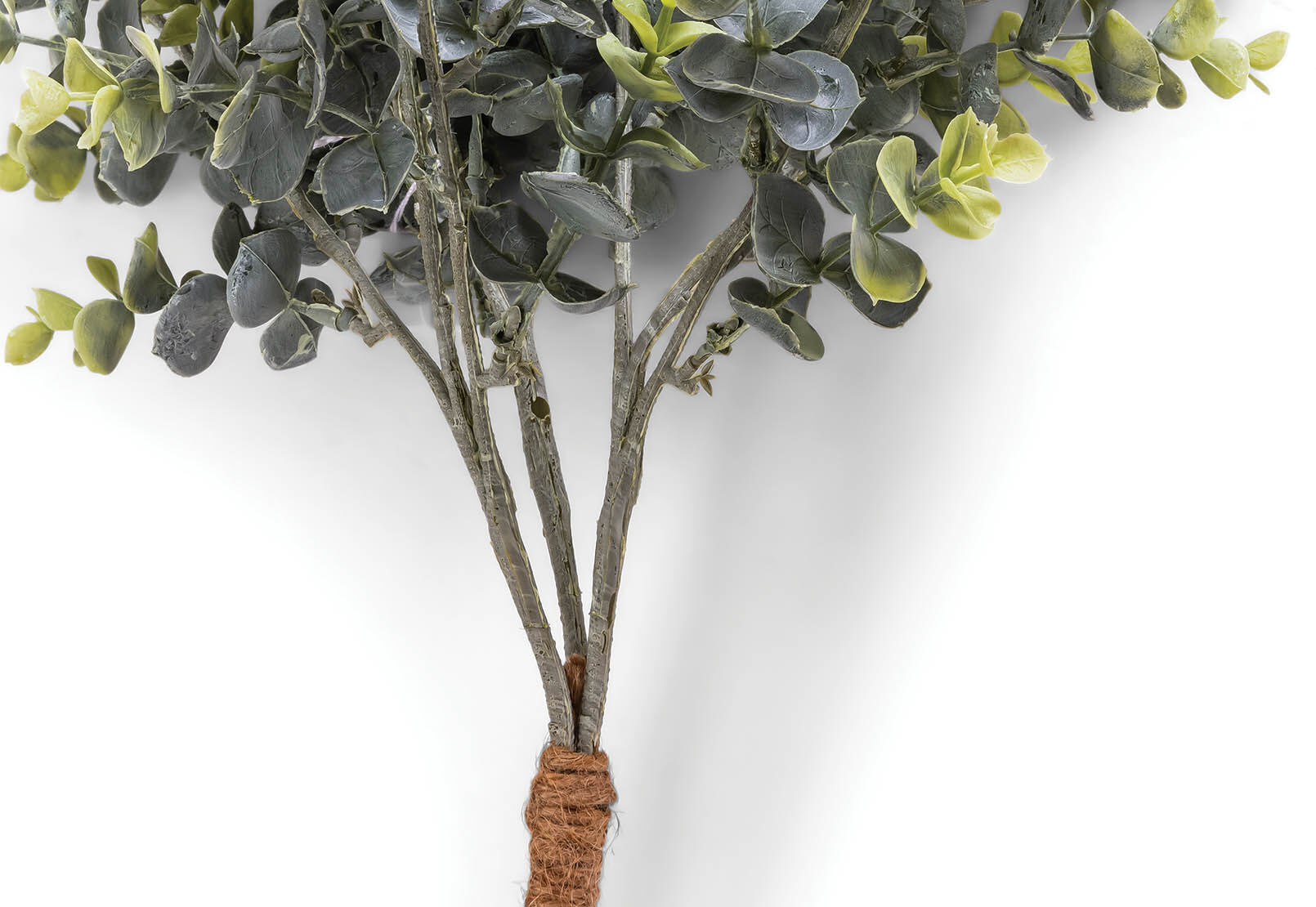 MYRTLE - 64cm Stem MYRTLE