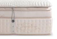 ORTHOKINETIC SIGNATURE BELLUCCI