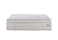 ORTHOKINETIC SIGNATURE GIORDANO