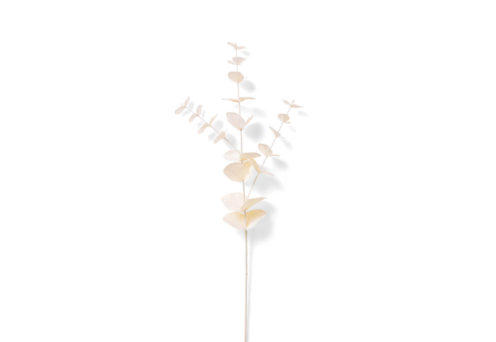 DAWE - 85cm Stem DAWE