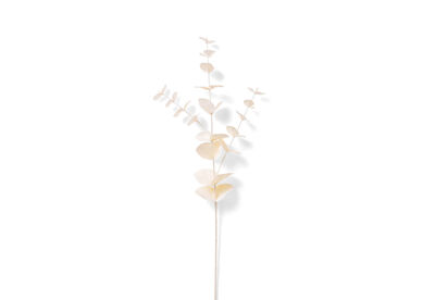 DAWE - 85cm Stem