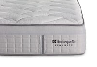 EXQUISITE SILVER FLEX PLUSH