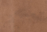 BURLINGTON FABRIC