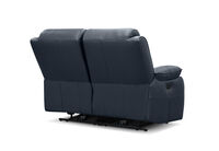 DACIA LEATHER