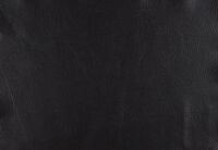 SPECTRA LEATHER