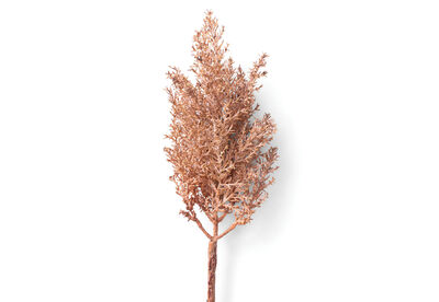 TEA TREE - 62cm Stem