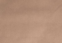 AGASSI FABRIC