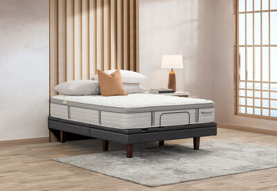 EXQUISITE SILVER FLEX MEDIUM - Base