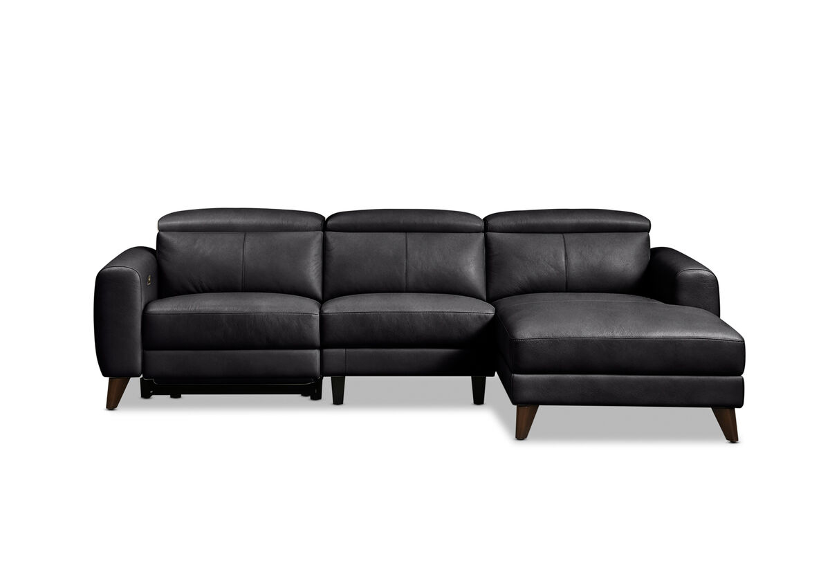 SPECTRA LEATHER