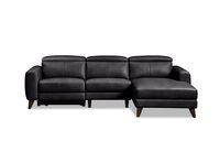 SPECTRA LEATHER