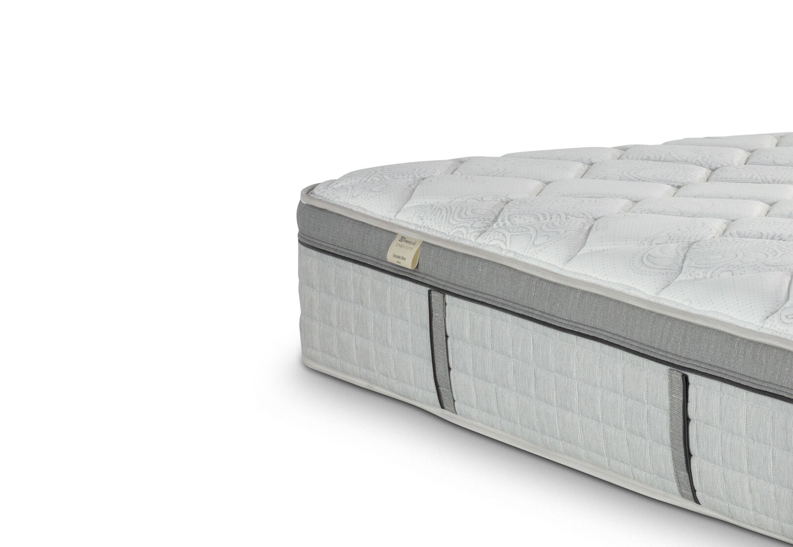 EXQUISITE SILVER FLEX MEDIUM