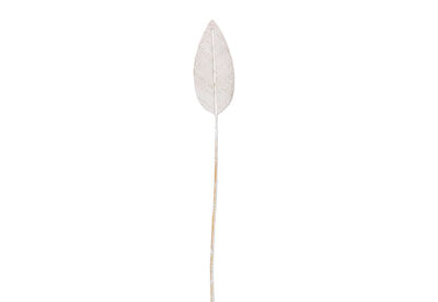 ANWAR - 180cm White Deco Leaf