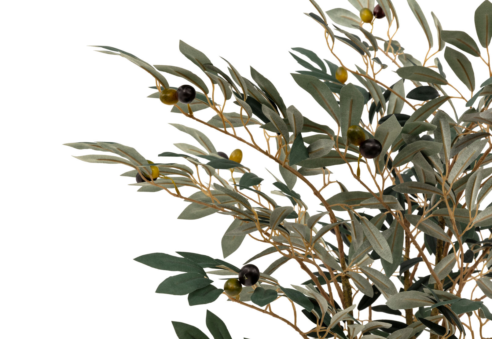 OLIVE TREE - 150CM Tree OLIVE TREE