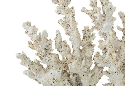 ELEA - 25CM Decorative Coral