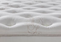 ORTHOKINETIC SIGNATURE GIORDANO