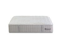 EXQUISITE GOLD FLEX CUSHION FIRM