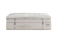 ORTHOKINETIC SIGNATURE BELLUCCI