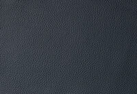 REMUS LEATHER