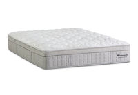 EXQUISITE GOLD FLEX ULTRA PLUSH