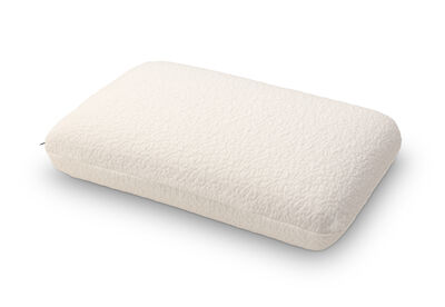 SEALY MEMORY REST - Traditional Pillow