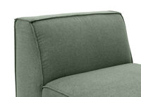 PHENORA FABRIC