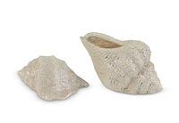 ECOSTRA CERAMIC