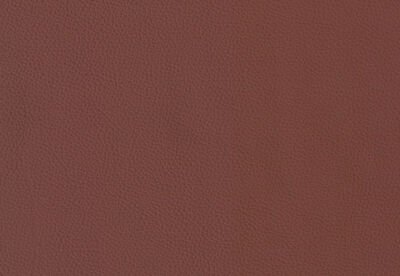 DACIA LEATHER - Electric Recliner