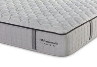 EXQUISITE SILVER FLEX CUSHION FIRM
