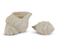 ECOSTRA CERAMIC