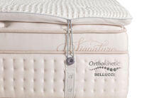 ORTHOKINETIC SIGNATURE BELLUCCI