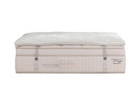 ORTHOKINETIC SIGNATURE BELLUCCI