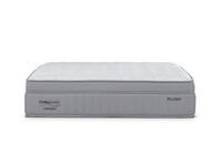 ORTHOKINETIC CONTESSA PLUSH - Double Mattress ORTHOKINETIC CONTESSA PLUSH