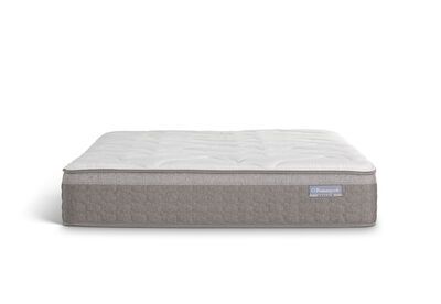 ACCLAIM RESTORE FLEX ULTRA PLUSH - Base